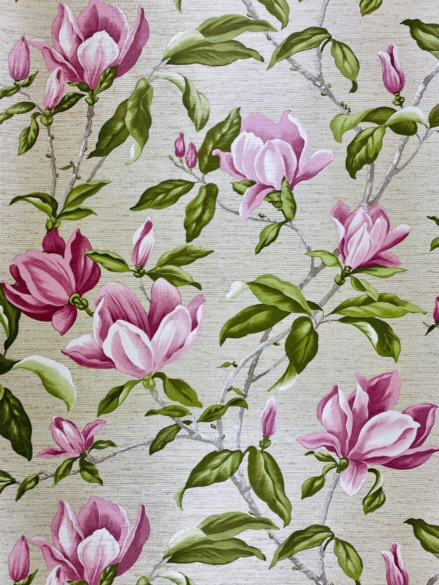 Magnolia flower wallpaper 1