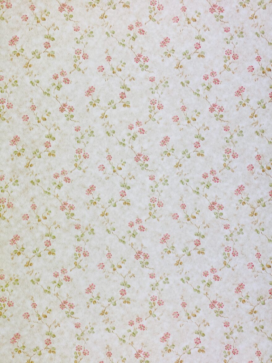 Pink climbing flower wallpaper12